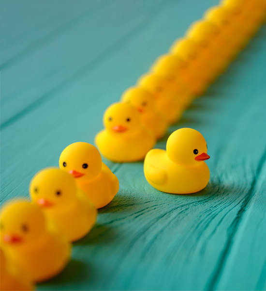 Row of yellow rubber ducks in a formal line with one duck breaking away
            from the line to follow its own direction